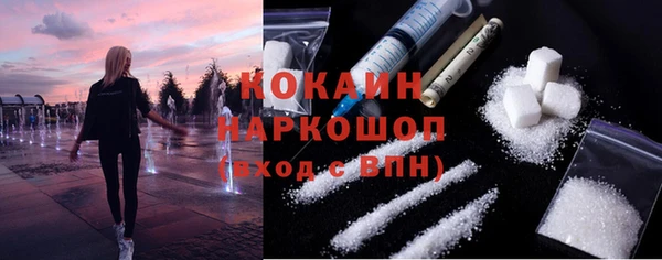 тгк Богородицк