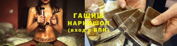 стаф Сосновый Бор